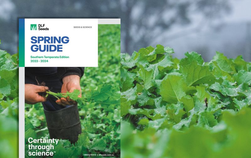 This DLF Seeds Guide features product information, management advice and trial data about our leading brassica, herb and lucerne varieties, mixes, grasses for over sowing and more. 